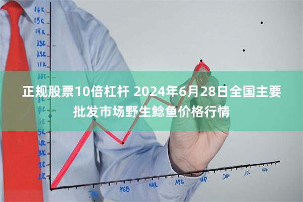 正规股票10倍杠杆 2024年6月28日全国主要批发市场野生鲶鱼价格行情