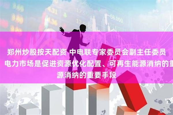 郑州炒股按天配资 中电联专家委员会副主任委员王志轩：电力市场是促进资源优化配置、可再生能源消纳的重要手段