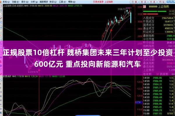 正规股票10倍杠杆 魏桥集团未来三年计划至少投资600亿元 重点投向新能源和汽车