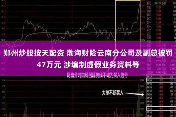 郑州炒股按天配资 渤海财险云南分公司及副总被罚47万元 涉编制虚假业务资料等